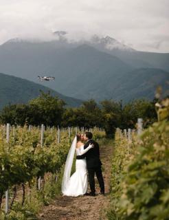 Chubini Winery & Cabins - Qwareli - 3