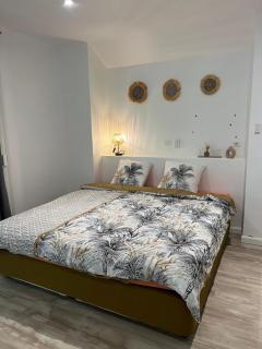 Bungalow Terra - Sarramea - 8