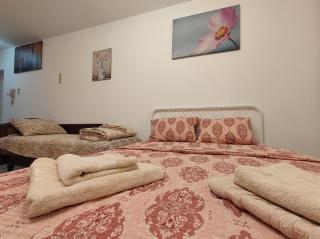 Apartman Kitanović 2 Vrnjačka Banja - 2