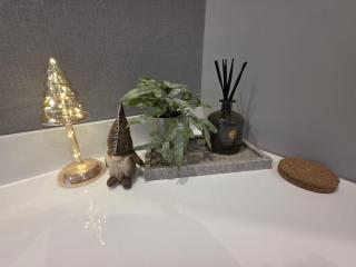 TeMax Lux Hahnenklee - 2