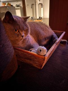 La maison noire au coin - 4