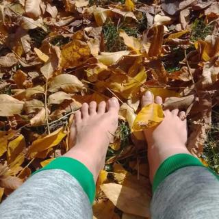 Family owned self sufficient ECO farm TARA - 1