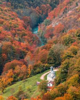 Family owned self sufficient ECO farm TARA - 4