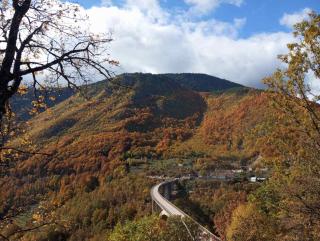 Family owned self sufficient ECO farm TARA - 6