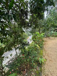 rivers edge homestay - 4