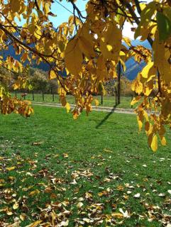 Family owned self sufficient ECO farm TARA - 7