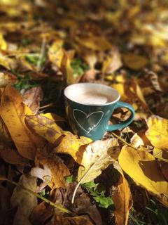 Family owned self sufficient ECO farm TARA - 8