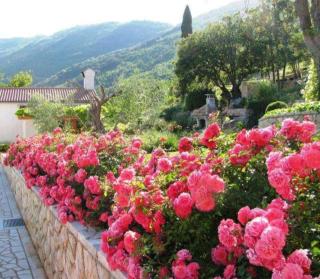 Piccolo Paradiso - 7