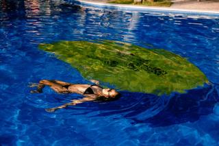 Mango Beach Resort - 2