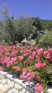 Piccolo Paradiso - 2