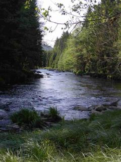 Seidl's Ilztalfewo - 1