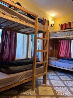 Oreos cafe and stay shangarh - 1