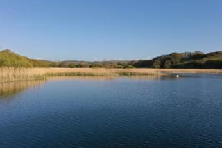 Beachfront Cottage with Sea Views & Coastal Walk - 8
