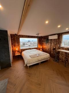 Chalet sur le toit de Strasbourg SPA Cinéma - Strasbourg - 9