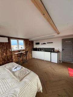 Chalet sur le toit de Strasbourg SPA Cinéma - 6