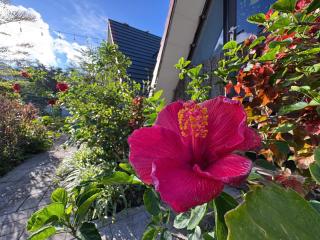 Ban Mai Xanh homestay Tam Đảo - 2