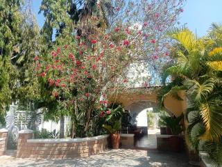 Kamsons villa accommodation - 9