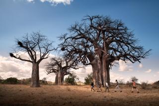 Nkula Camp - Pafuri Walking Safari's - 0