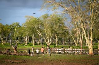 Hutwini Camp - Pafuri Walking Safaris - 1