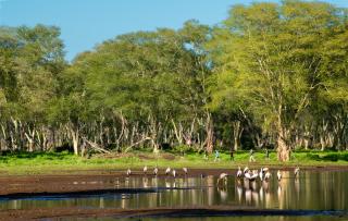 Hutwini Camp - Pafuri Walking Safaris - 3