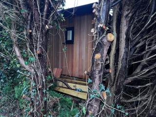 Cabin at Annan House - 5