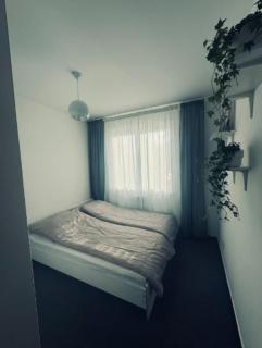 MD Neptun - Danzica - 4