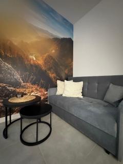 Pokoje i Apartamenty nad Przełomem Dunajca-Sauna & Balia - 6