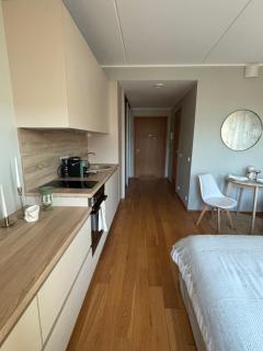 The Pakview Studio Apartment - 3