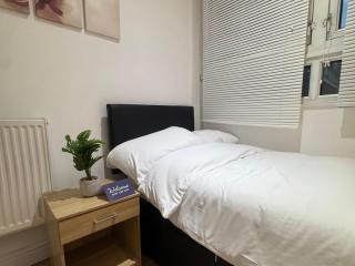 Zone 2 En-Suite Rooms Peckham Maisonette - Londra - 2