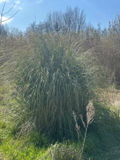 La petite Chaumière - 4