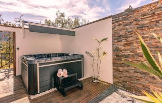 Le Verger Mandarine - Piscine & Spa a l'Entre-Deux - 6