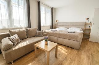 Smarty Choice Living with FREE PARKING - Vondroušova - 0