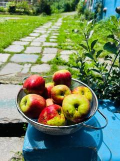 MADLERS by Oakland House - 7