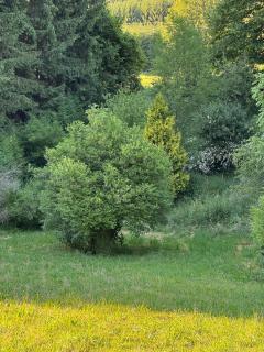 Landhaus Baptist - 6