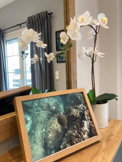 Agiou Stilianou Apartments - 3