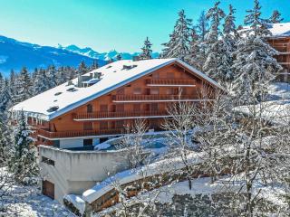 Apartment Les Faverges 11 by Interhome - 5