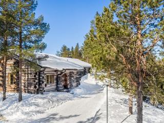 Holiday Home Rukan kelohuvila by Interhome - 0