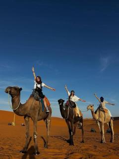 Bivouac beauté du désert - Mhamid - 3