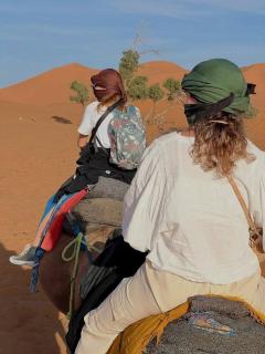 Bivouac beauté du désert - 9