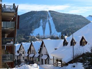 Studio Čertovka-3 by Interhome - 0