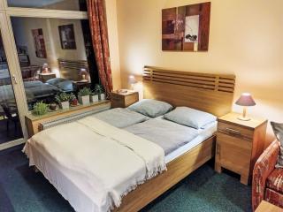 Studio Čertovka-3 by Interhome - 2