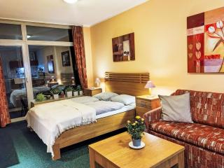 Studio Čertovka-3 by Interhome - 1