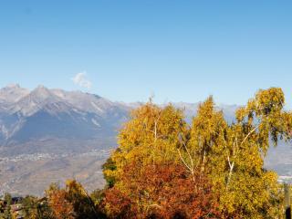 Chalet Le Bouquetin by Interhome - 6