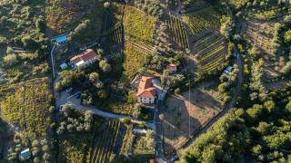 Agriturismo La Collina Verde - 0