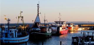 Sonnige Fewo Hafen in Sassnitz - 8