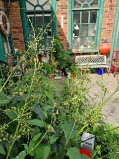 Sonnige Fewo Hafen in Sassnitz - 9