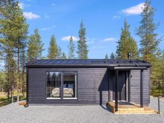 Holiday Home Visit pyhä cabins d by Interhome - 0