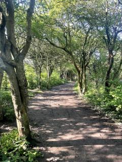 Sunny 3 bedroom house near a stunning beach - 7