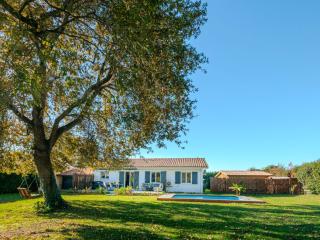 Holiday Home Vaccine-2 by Interhome - 5