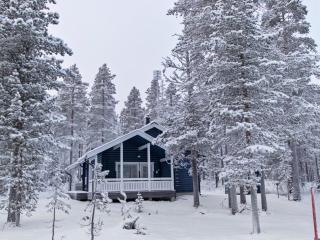 Holiday Home Sinikiiruna by Interhome - 0